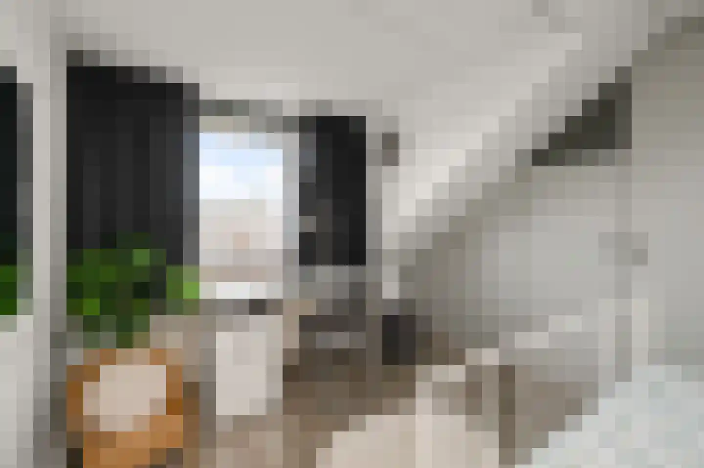 Mascagnistraat 23 Heemskerk thumbnail 23