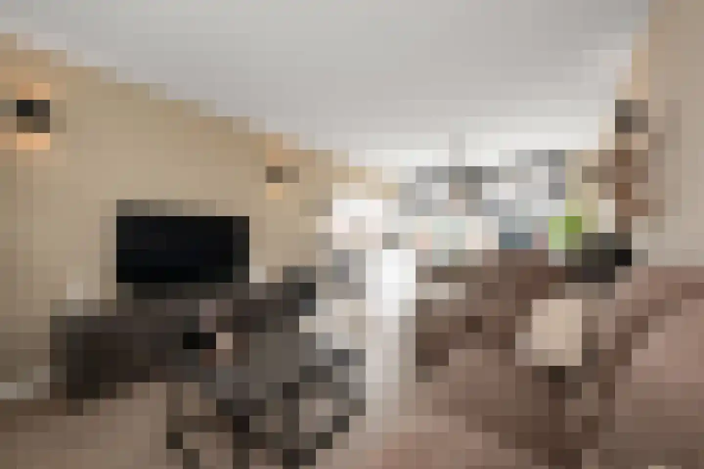 Mascagnistraat 23 Heemskerk thumbnail 4