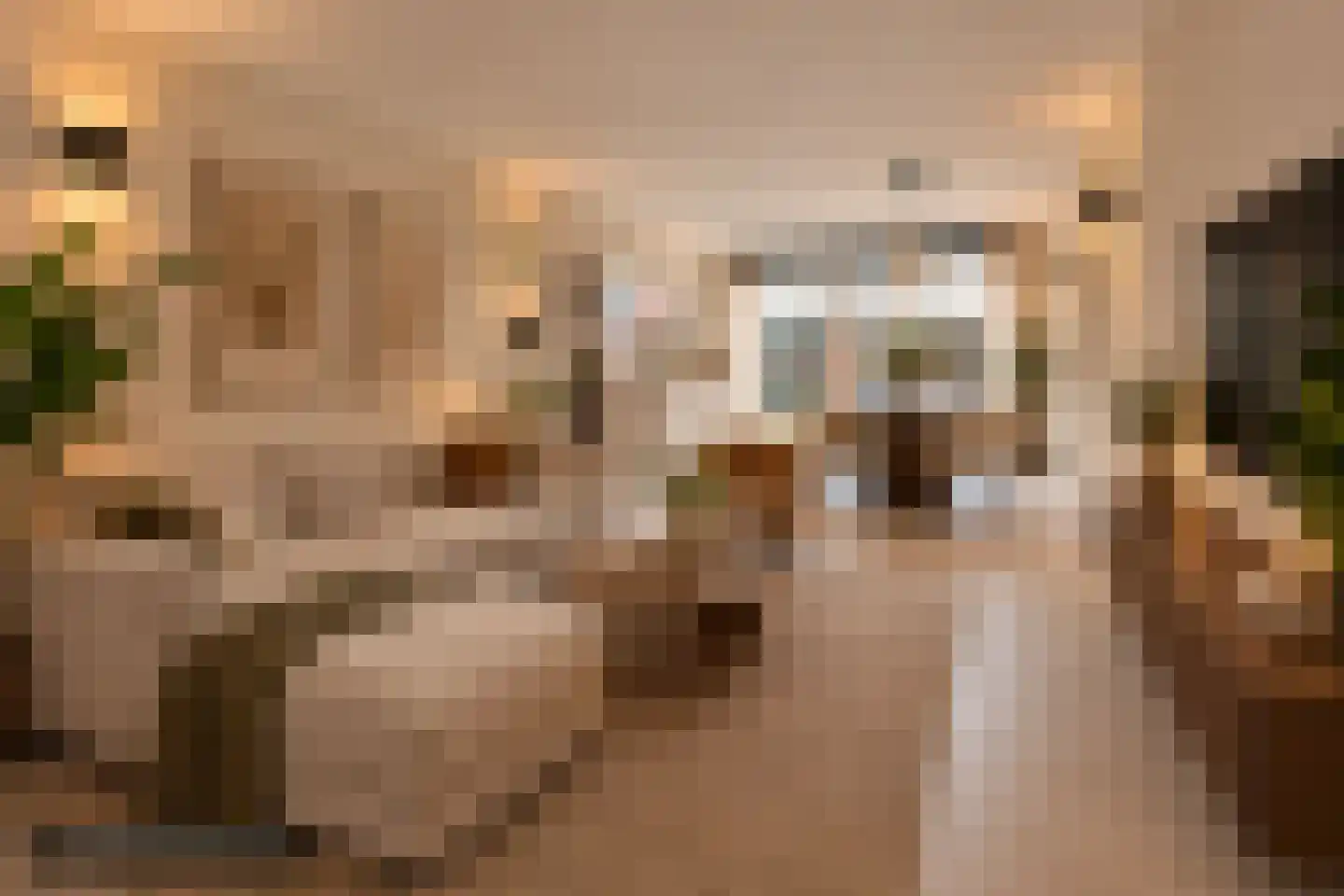 Mascagnistraat 23 Heemskerk thumbnail 6