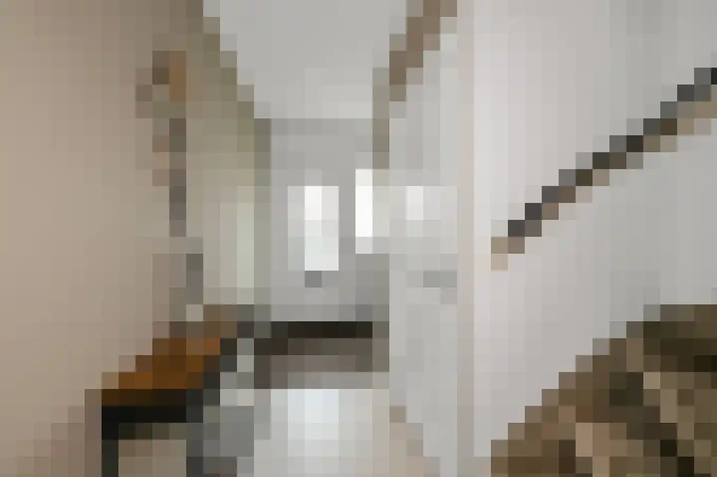 Mascagnistraat 23 Heemskerk thumbnail 8