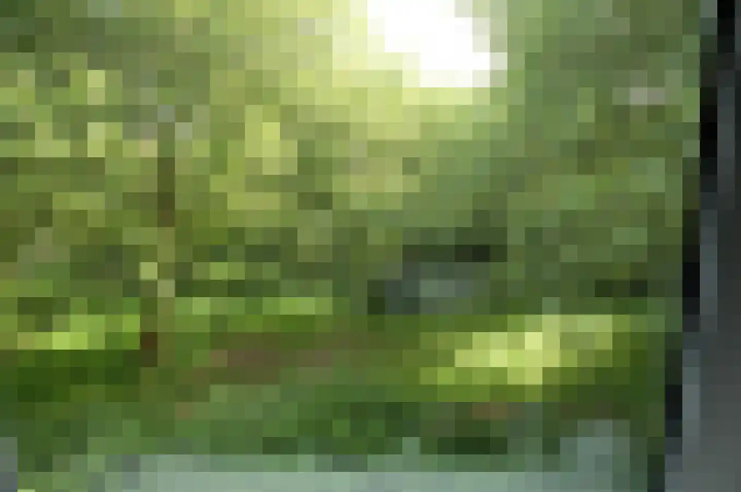 Mascagnistraat 30 Heemskerk thumbnail 4