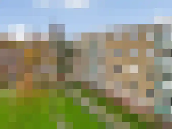 Mascagnistraat 52 Heemskerk thumbnail 25