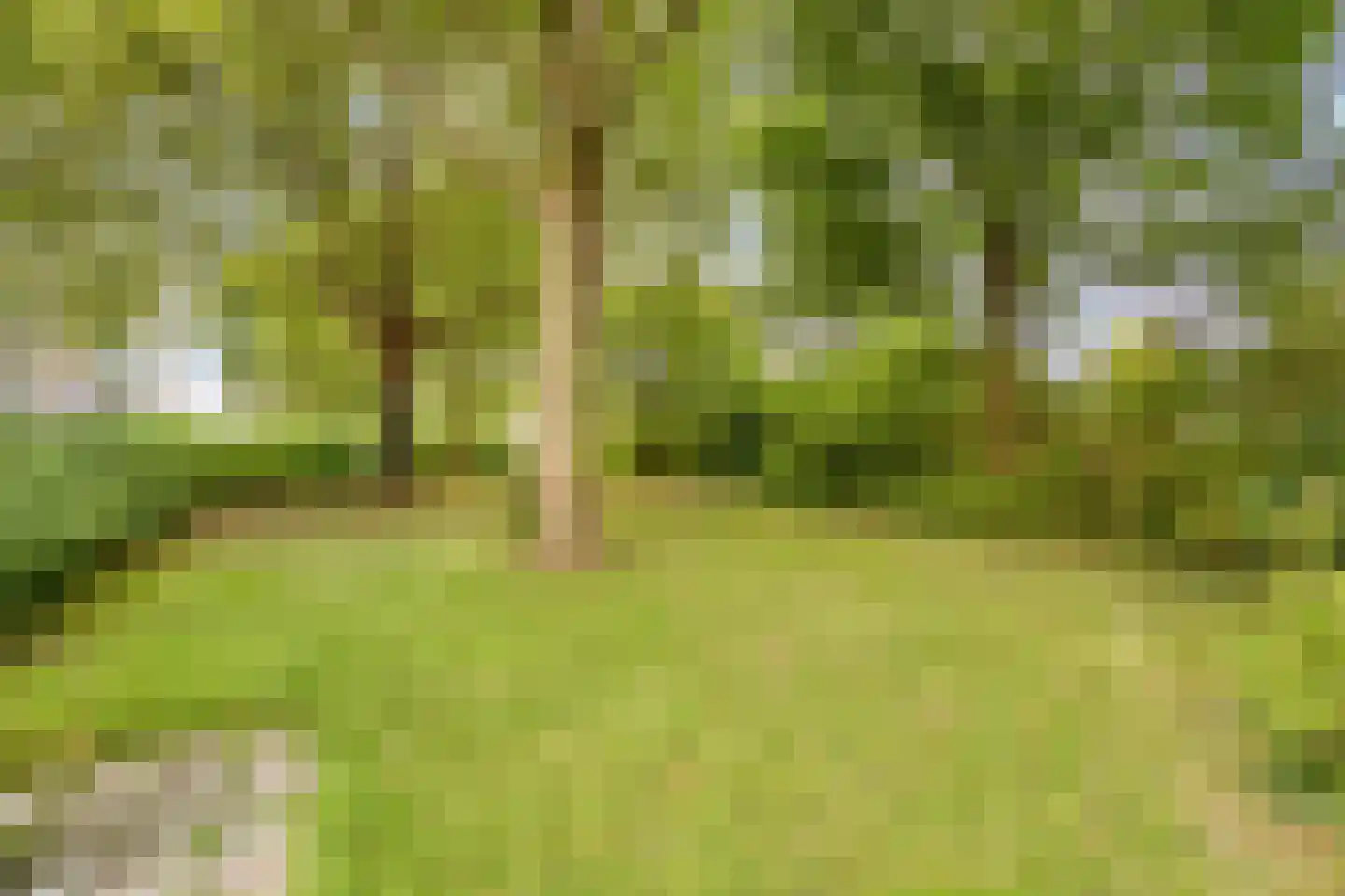 Mascagnistraat 6 Heemskerk thumbnail 21