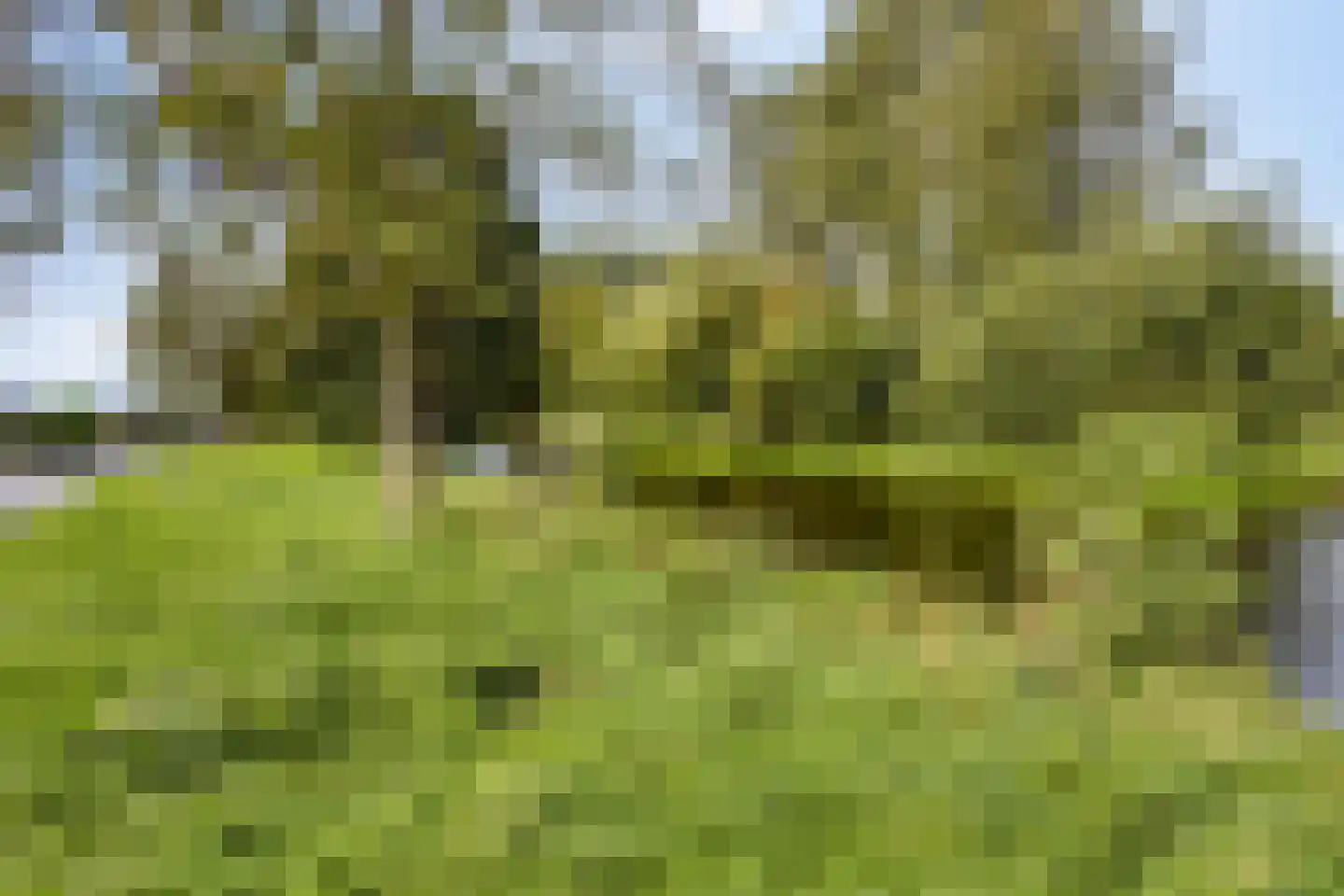 Mascagnistraat 6 Heemskerk thumbnail 22