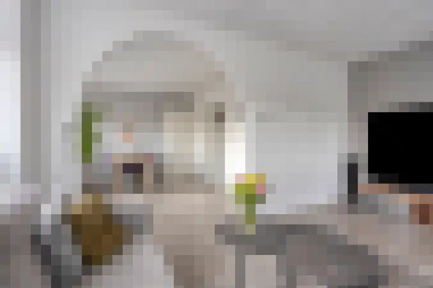 Mascagnistraat 6 Heemskerk thumbnail 5