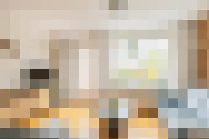 Maskarenen 6 Utrecht thumbnail 15