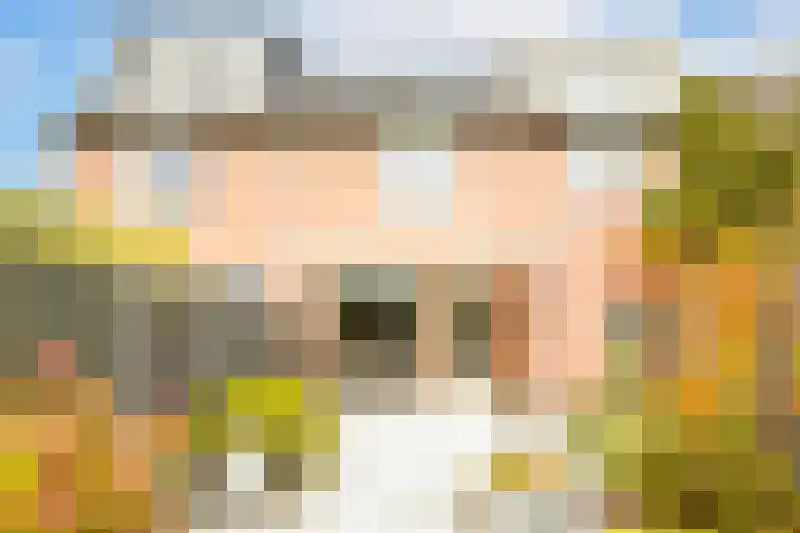 Maskarenen 6 Utrecht thumbnail 17