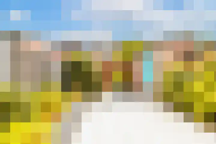 Maskarenen 6 Utrecht thumbnail 20
