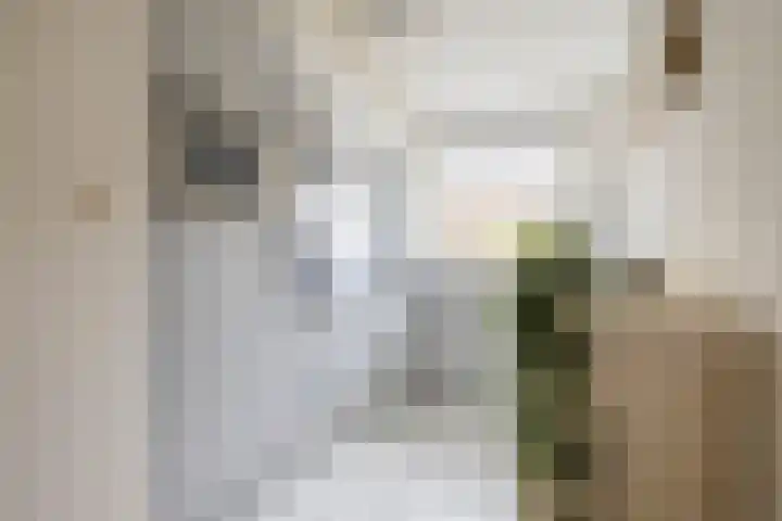 Maskarenen 6 Utrecht thumbnail 24