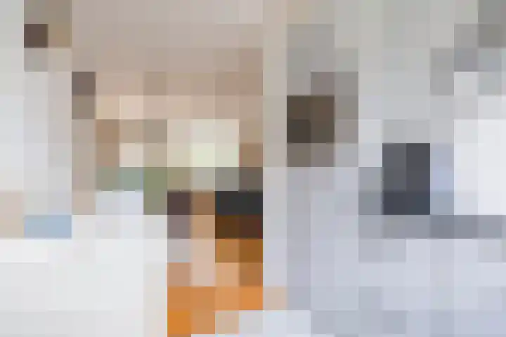 Maskarenen 6 Utrecht thumbnail 26