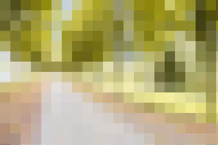 Maskarenen 6 Utrecht thumbnail 43