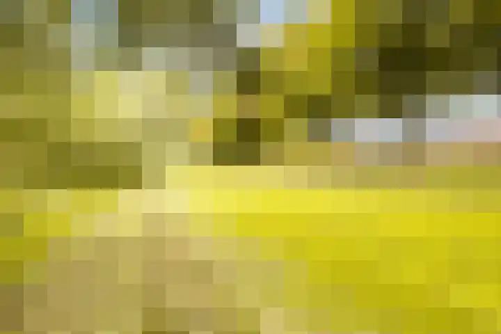 Maskarenen 6 Utrecht thumbnail 44