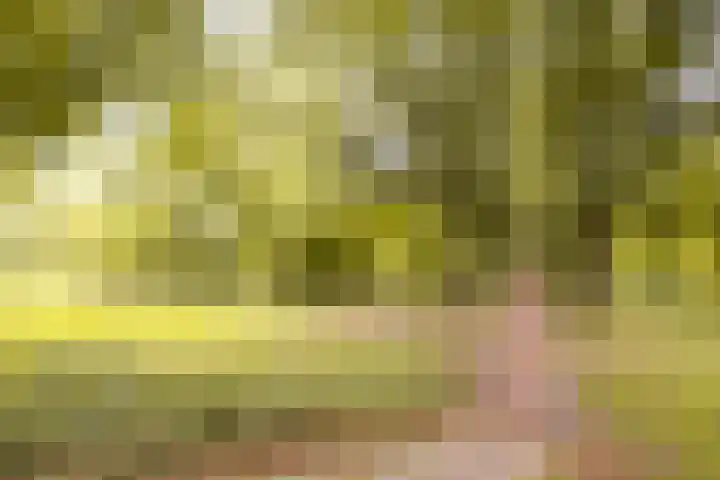 Maskarenen 6 Utrecht thumbnail 45