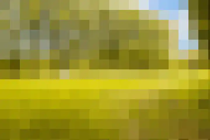 Maskarenen 6 Utrecht thumbnail 46