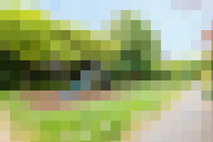 Maskarenen 6 Utrecht thumbnail 47