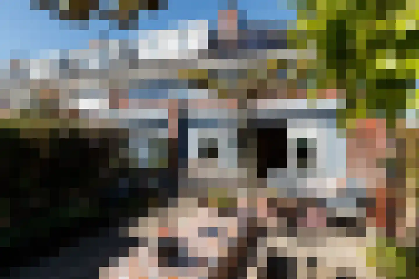 Maskerbloemlaan 13 Vleuten thumbnail 14