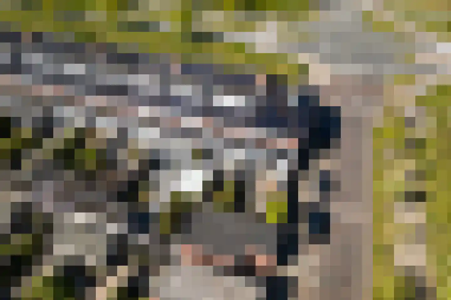 Maskerbloemlaan 13 Vleuten thumbnail 30