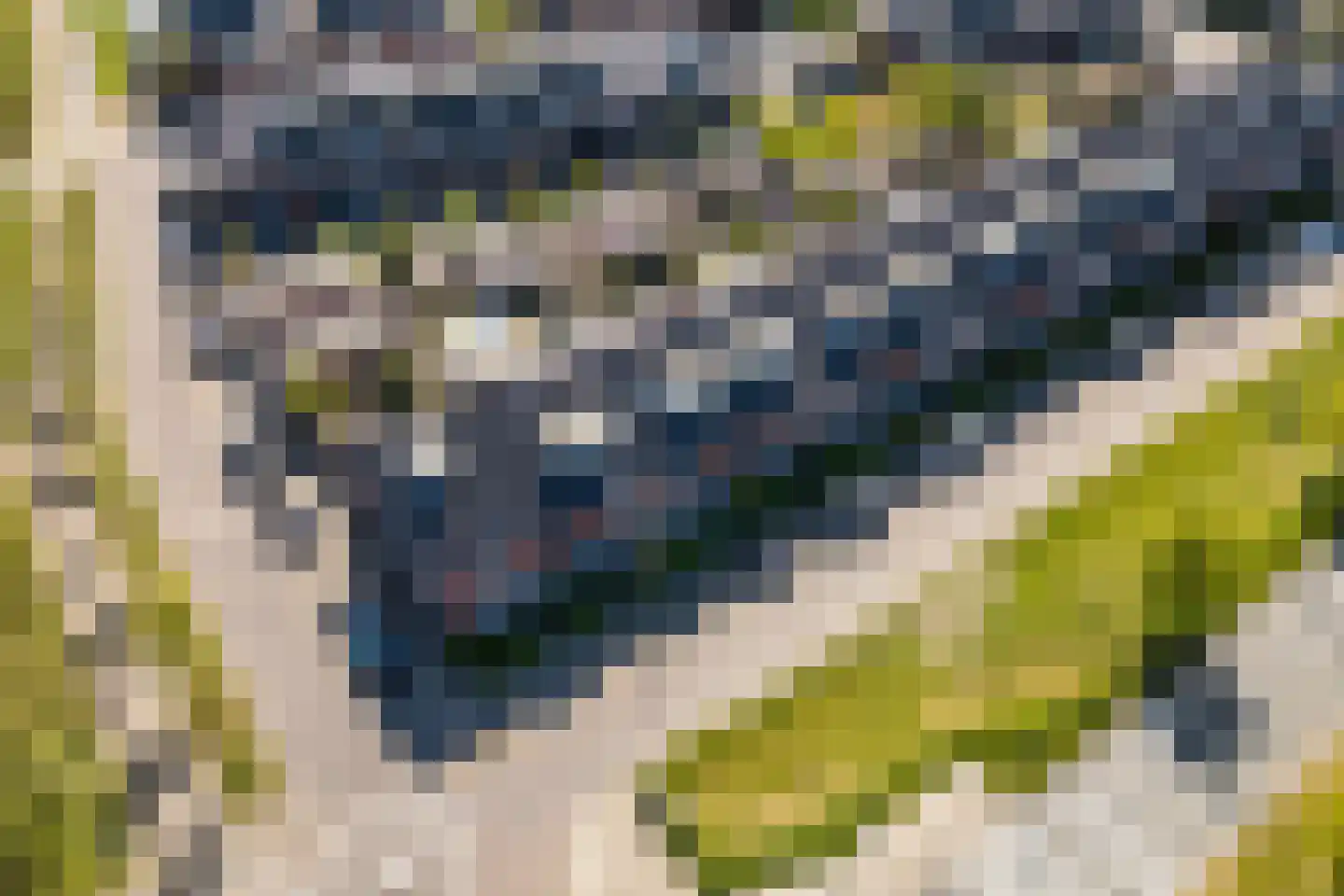 Maskerbloemlaan 13 Vleuten thumbnail 31