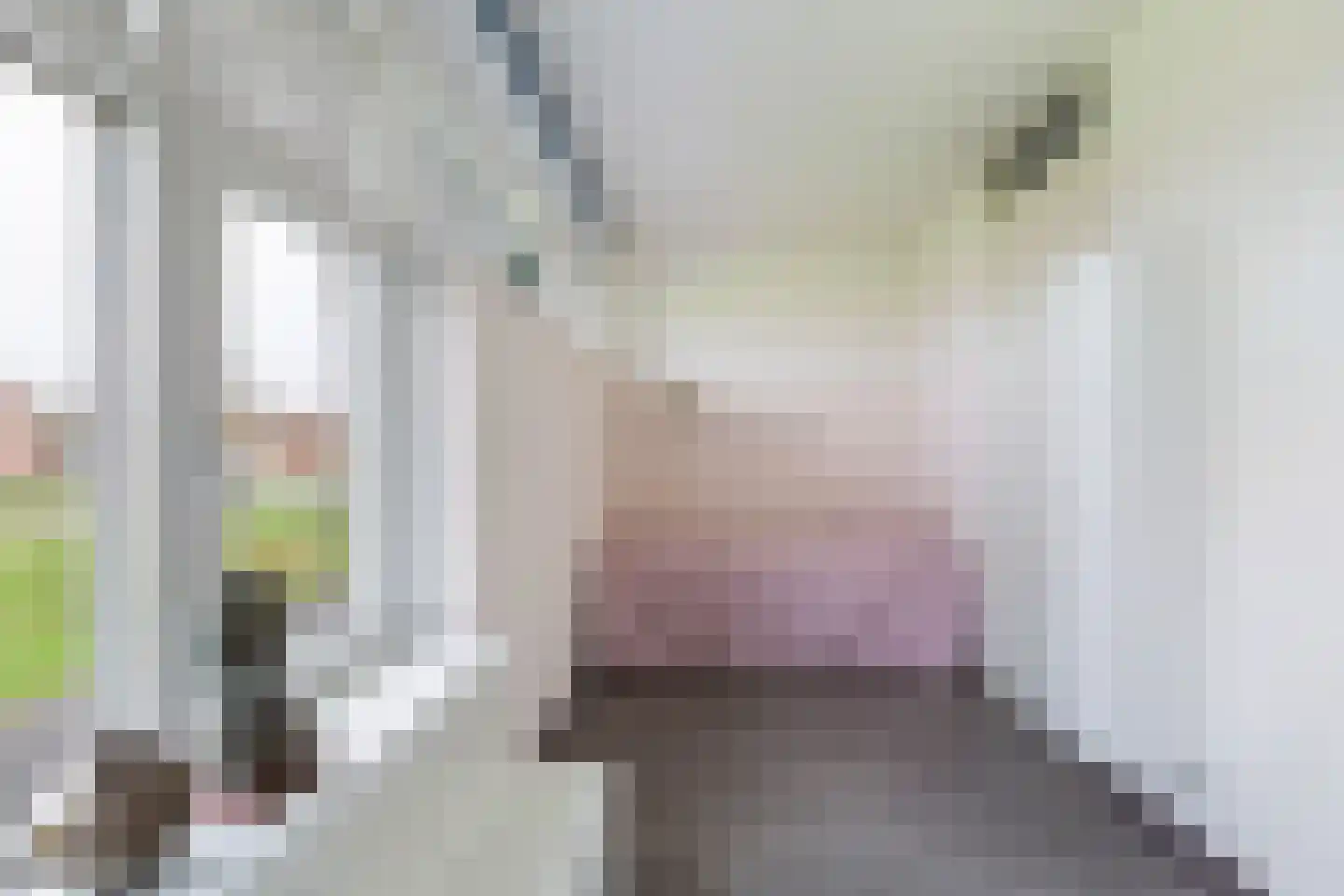 Maskerbloemlaan 24 Vleuten thumbnail 23
