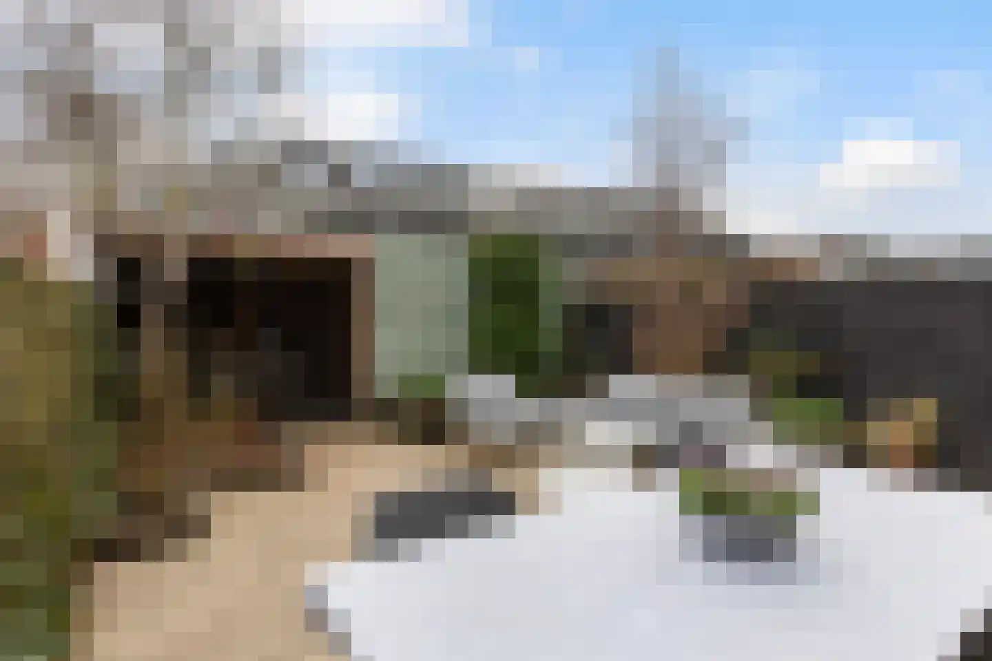 Maskerbloemlaan 24 Vleuten thumbnail 36