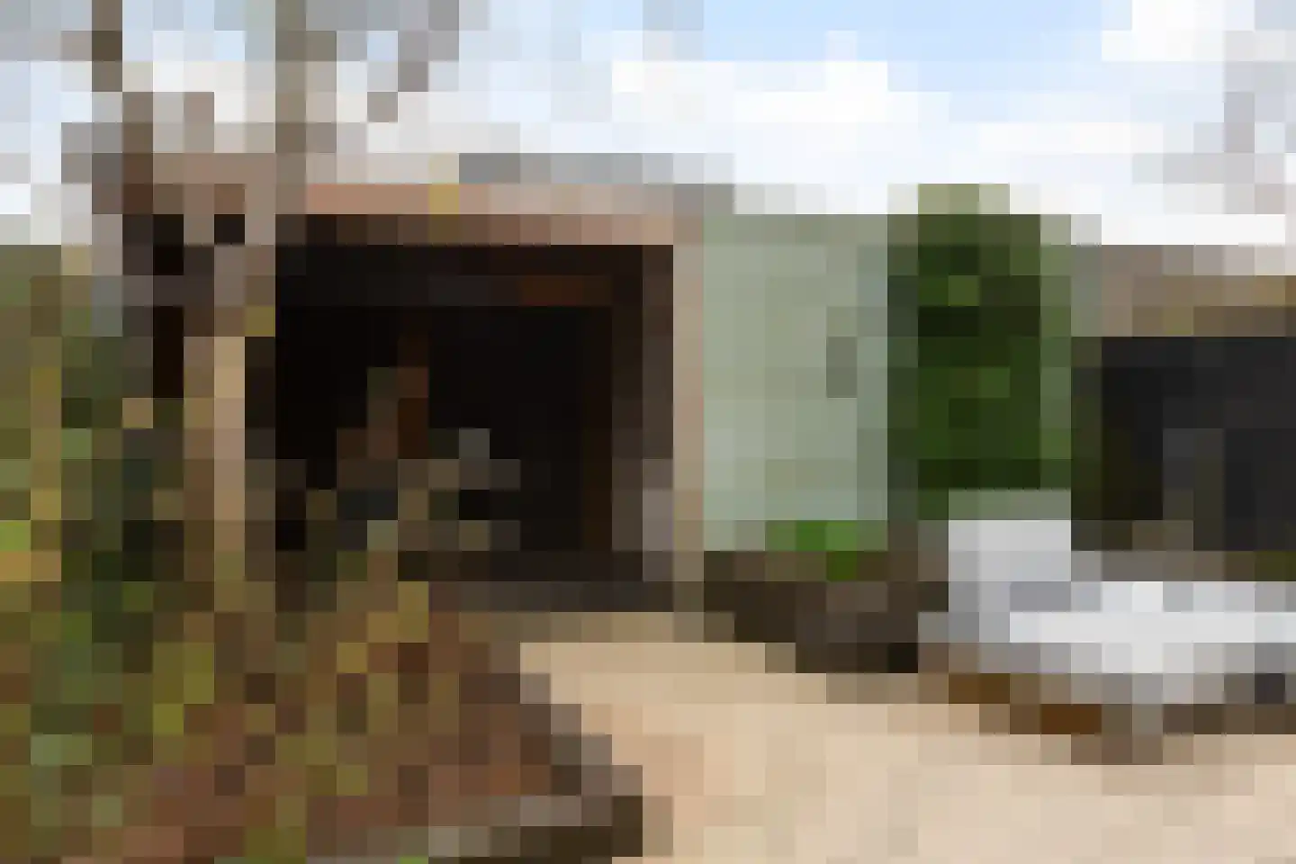 Maskerbloemlaan 24 Vleuten thumbnail 38