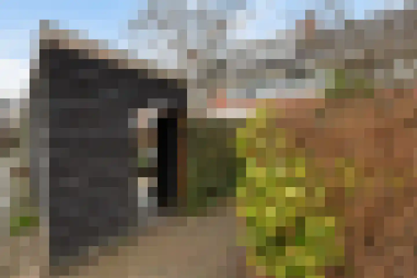 Maskerbloemlaan 24 Vleuten thumbnail 39