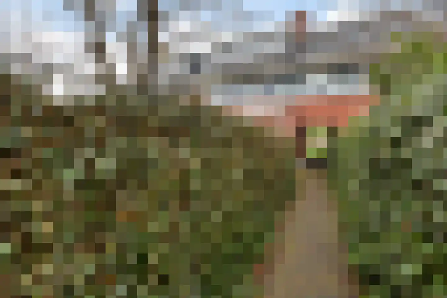 Maskerbloemlaan 24 Vleuten thumbnail 40