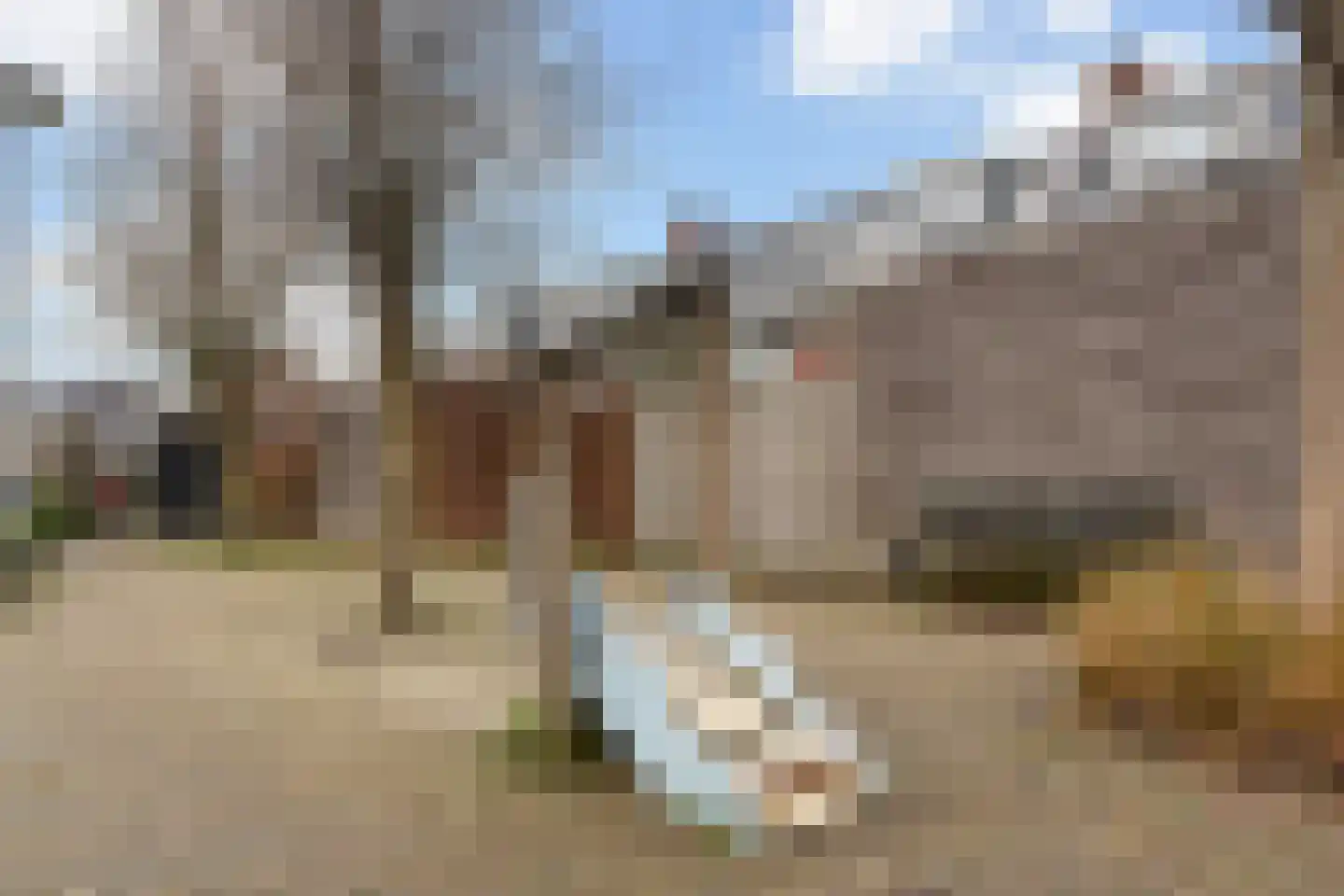 Maskerbloemlaan 24 Vleuten thumbnail 41