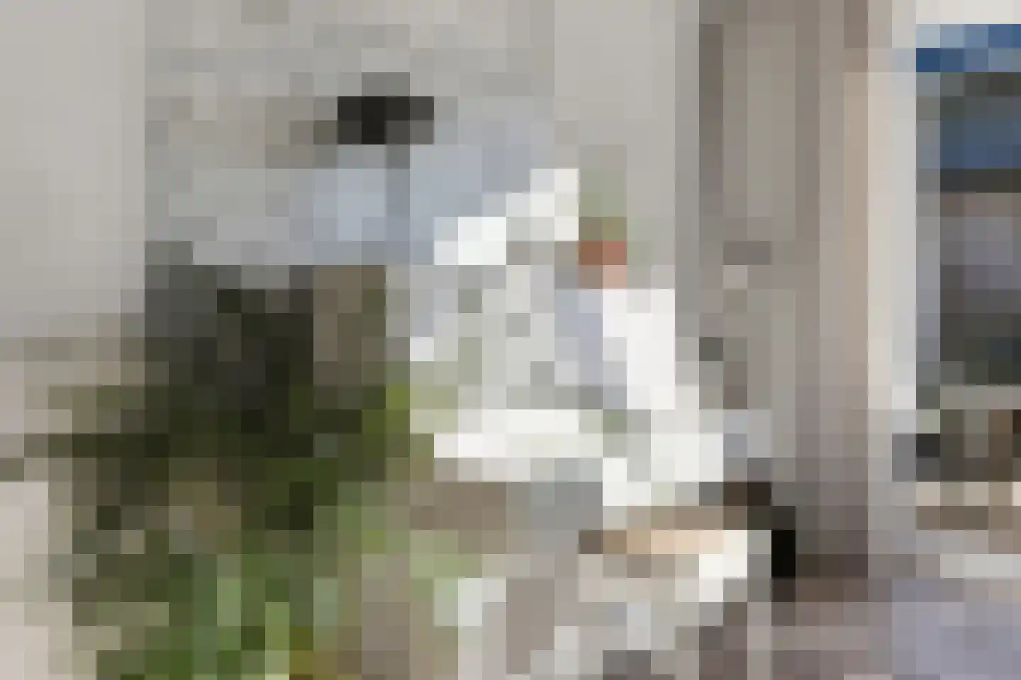 Maskerbloemlaan 28 Vleuten thumbnail 15