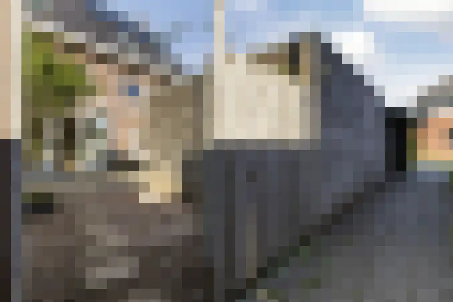 Maskerbloemlaan 28 Vleuten thumbnail 19