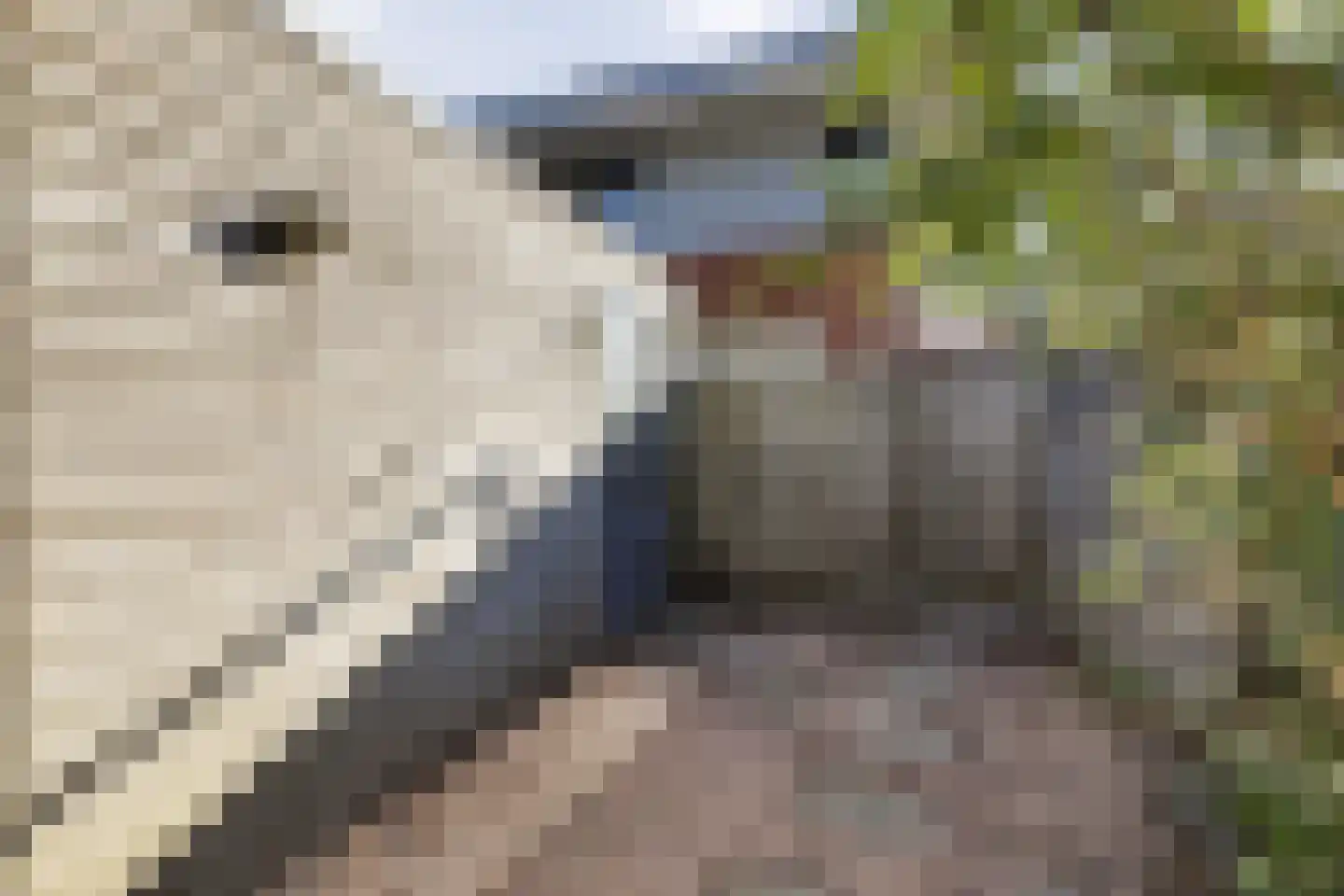 Maskerbloemlaan 28 Vleuten thumbnail 69