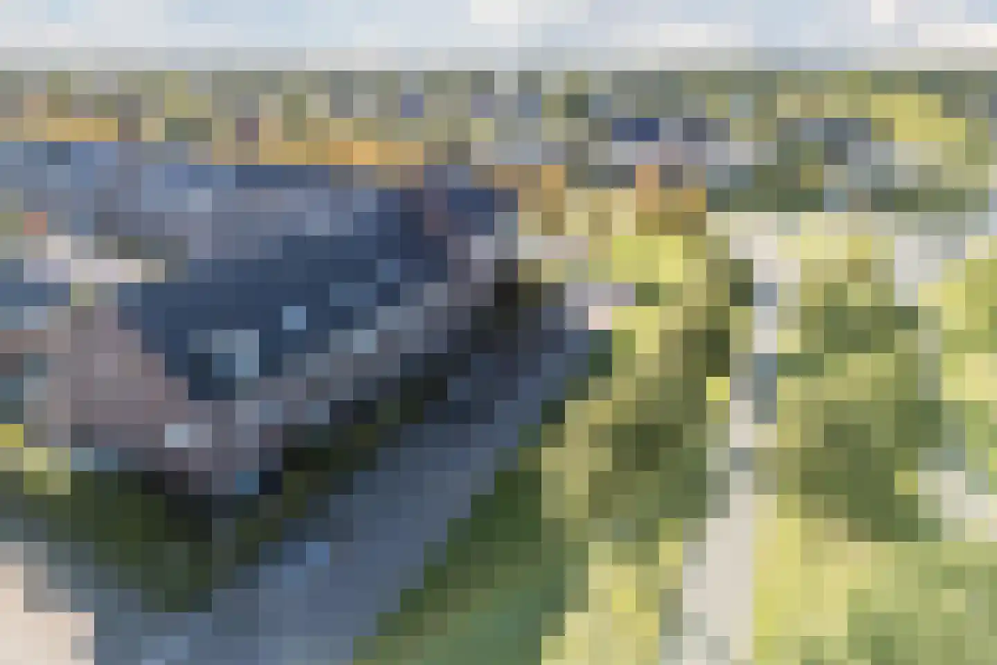 Maskerbloemlaan 28 Vleuten thumbnail 77