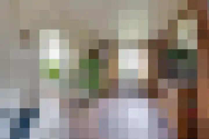 Masselinklaan 1 Sinderen thumbnail 12