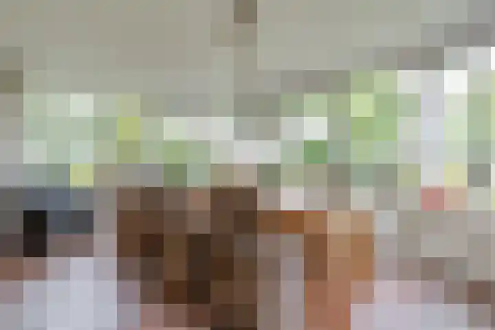 Masselinklaan 1 Sinderen thumbnail 13