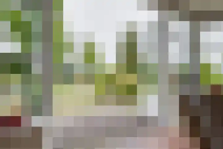 Masselinklaan 1 Sinderen thumbnail 14