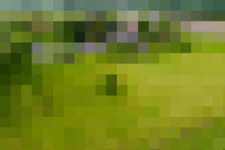 Masselinklaan 1 Sinderen foto 2