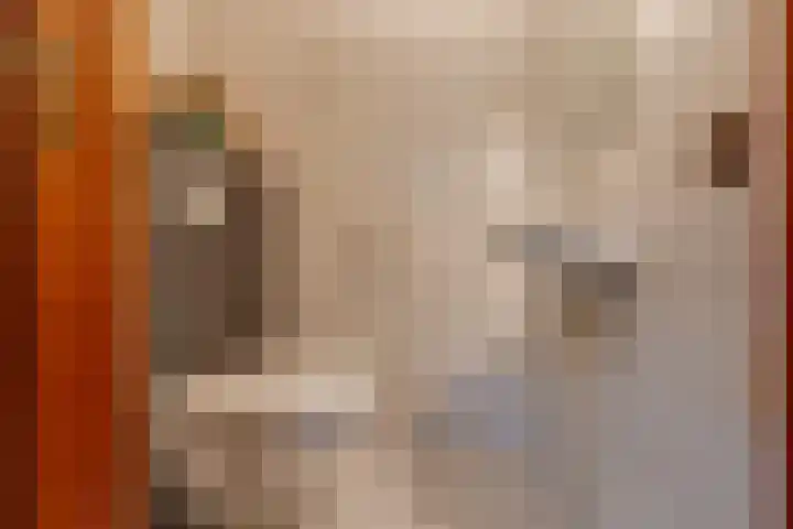 Masselinklaan 1 Sinderen thumbnail 22
