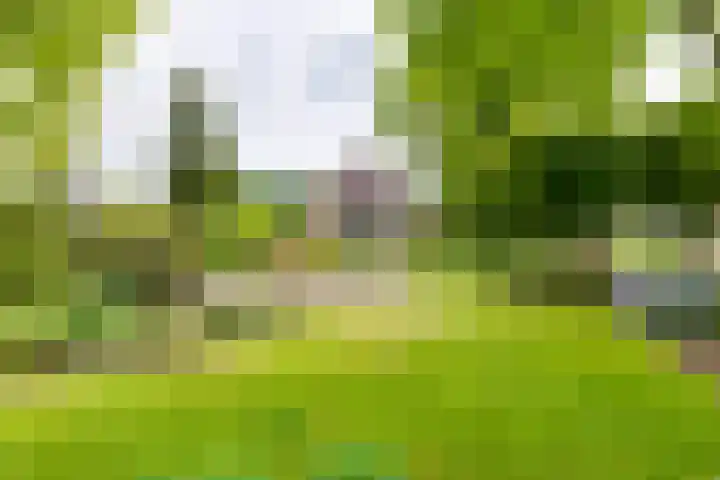 Masselinklaan 1 Sinderen foto 3