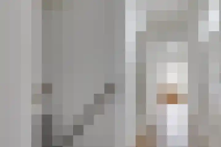Masselinklaan 1 Sinderen thumbnail 31