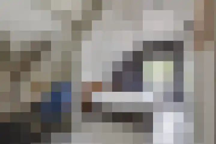 Masselinklaan 1 Sinderen thumbnail 32