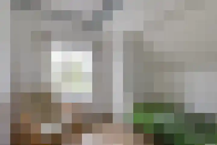 Masselinklaan 1 Sinderen thumbnail 34