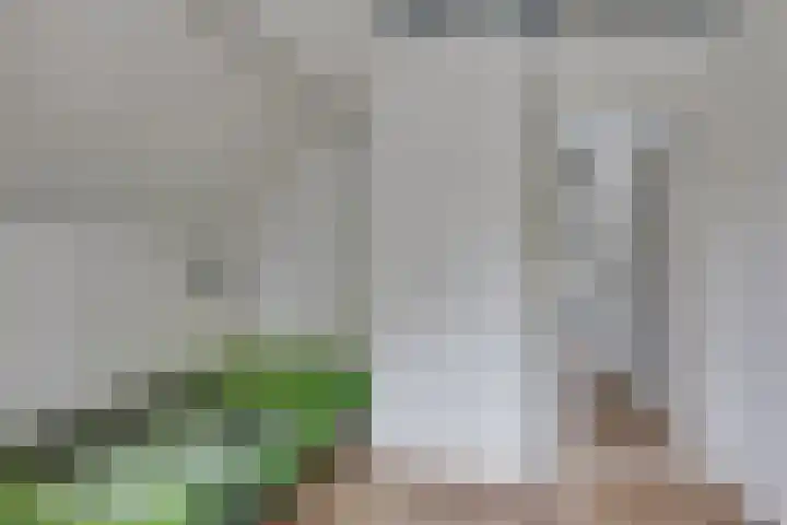 Masselinklaan 1 Sinderen thumbnail 35