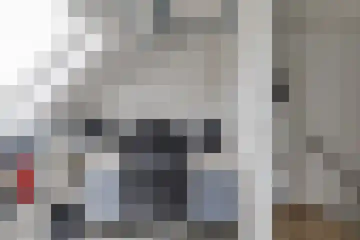Masselinklaan 1 Sinderen thumbnail 36