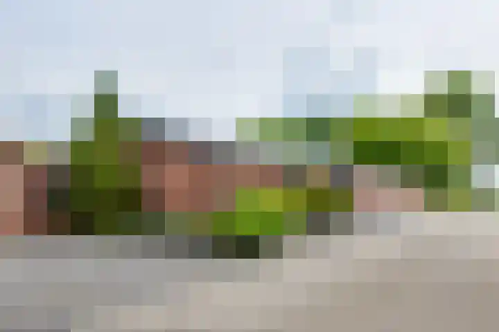 Masselinklaan 1 Sinderen thumbnail 4