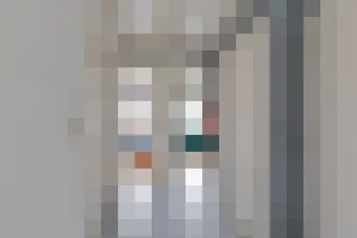 Masselinklaan 1 Sinderen thumbnail 40