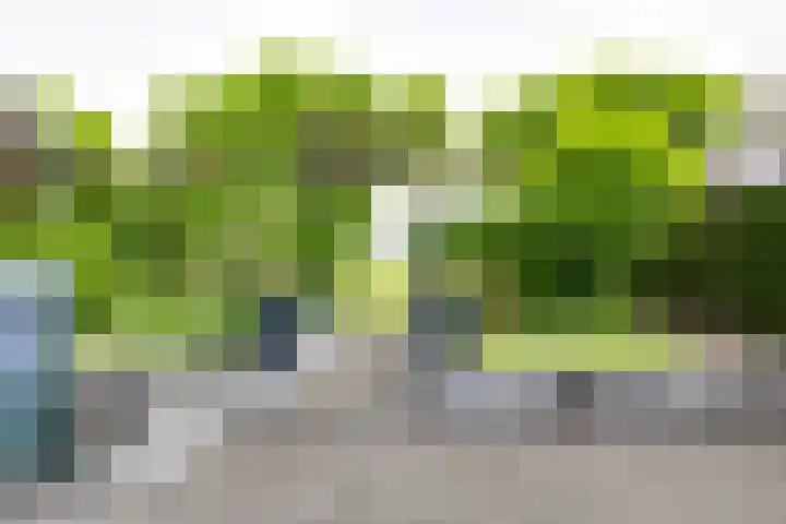 Masselinklaan 1 Sinderen thumbnail 50