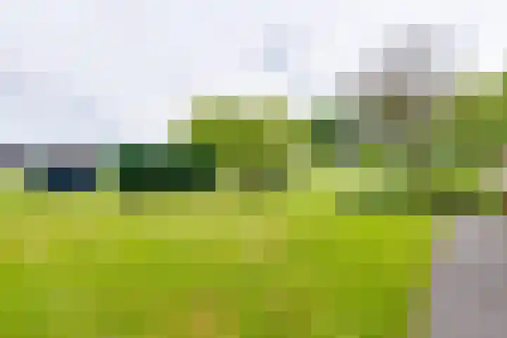 Masselinklaan 1 Sinderen thumbnail 51