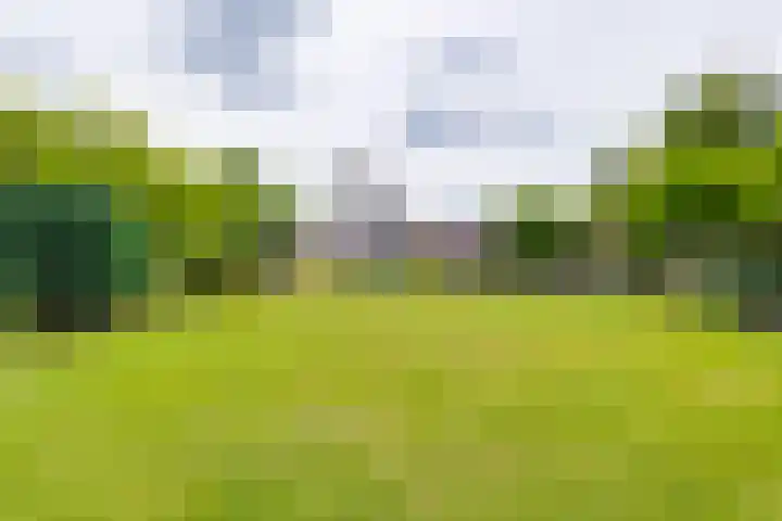 Masselinklaan 1 Sinderen thumbnail 52