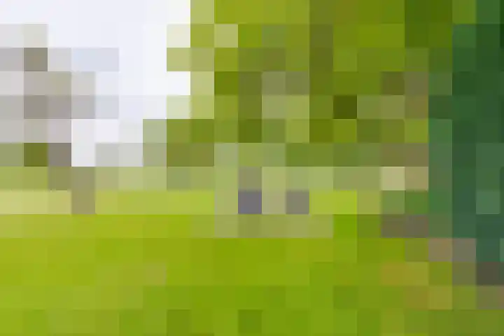 Masselinklaan 1 Sinderen thumbnail 53