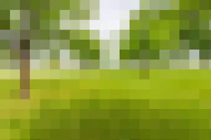 Masselinklaan 1 Sinderen thumbnail 54